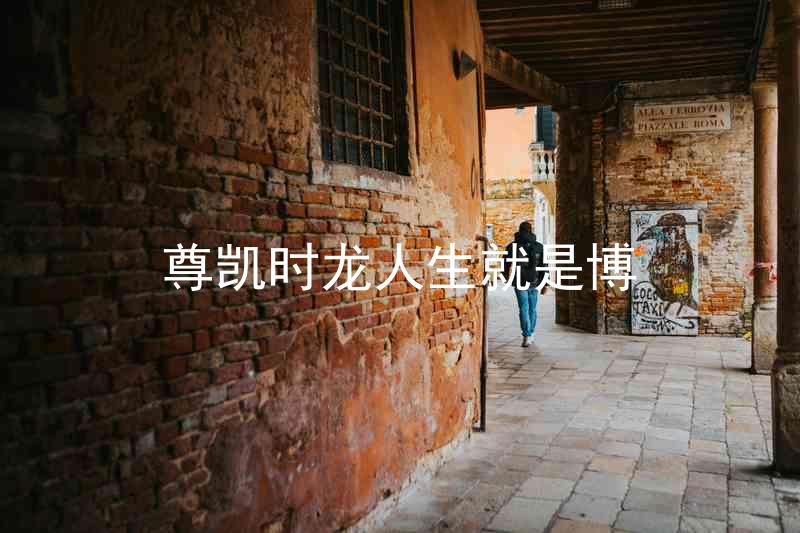 尊凯时龙人生就是博