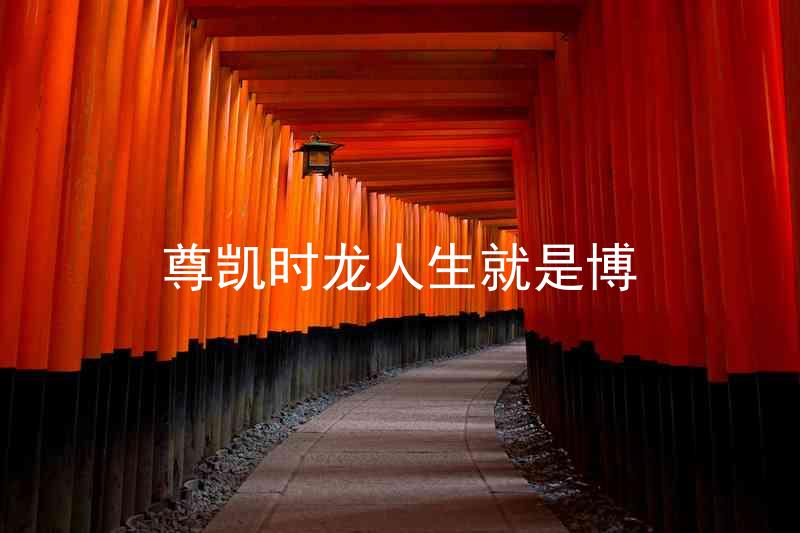 尊凯时龙人生就是博