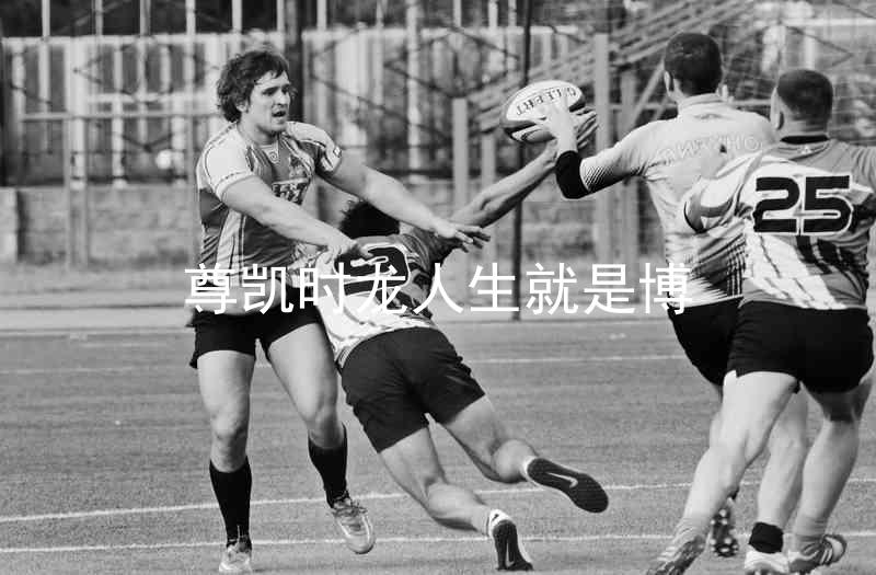 尊凯时龙人生就是博