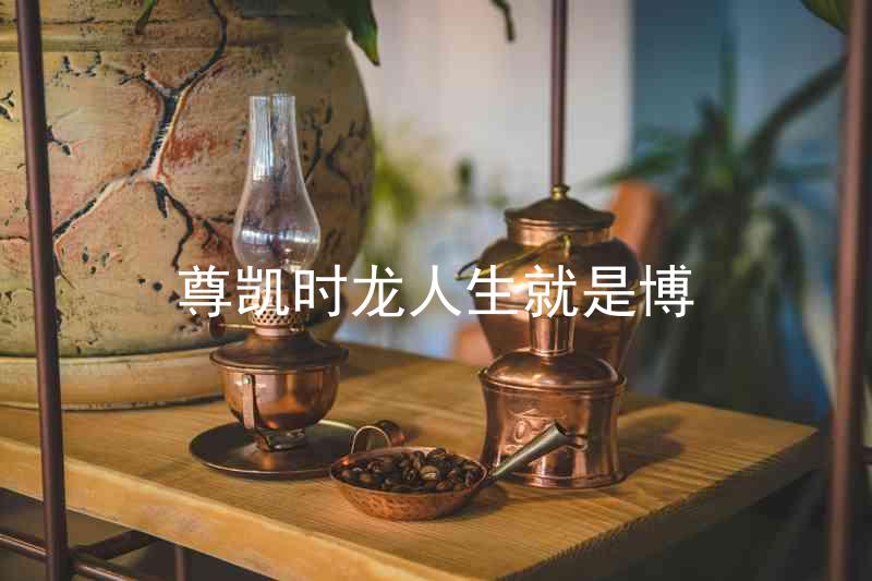 尊凯时龙人生就是博