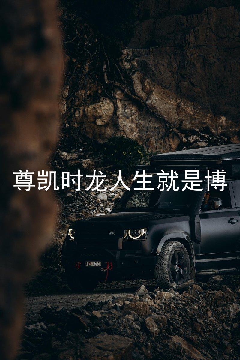 尊凯时龙人生就是博