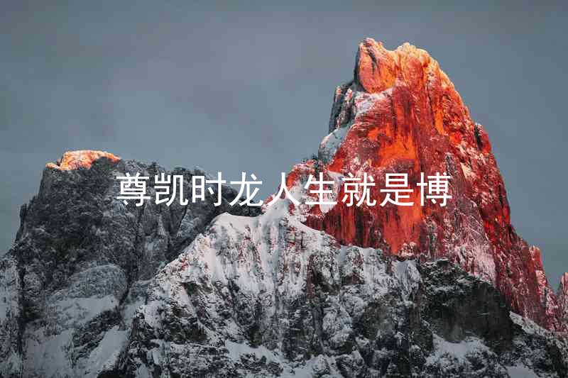 尊凯时龙人生就是博