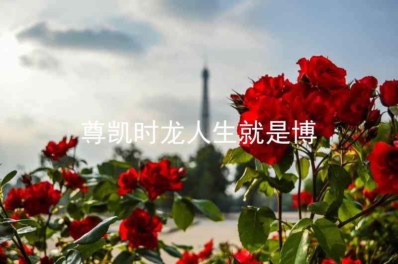 尊凯时龙人生就是博