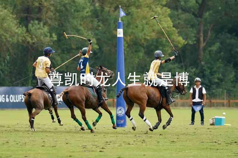 尊凯时龙人生就是博