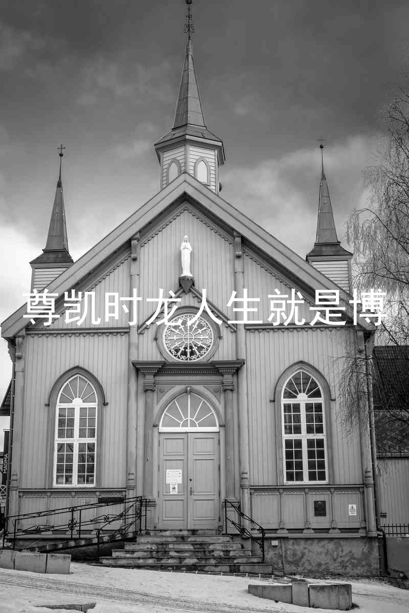 尊凯时龙人生就是博