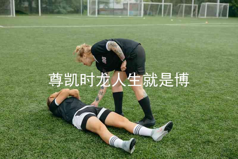 尊凯时龙人生就是博